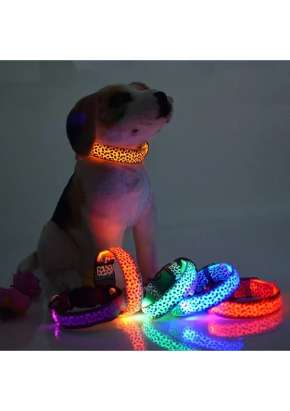 Beyaz Stil L 45-52CM Leopar LED Köpek Tasması Aydınlık Ayarlanabilir Parlayan Köpekler Için Yaka Pet Gece Güvenliği Naylon Yaka Aydınlık LED Parlak Köpek Tasması (Yurt Dışından) fırsatları