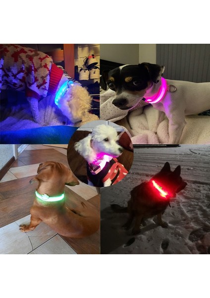 15-Usb Stili L 45-52CM Pet USB Şarj Edilebilir LED Köpek Yaka Gece Güvenliği Yanıp Sönen Pet Malzemeleri Köpek Aksesuarları Için Köpek LED Yaka (Yurt Dışından) modelleri