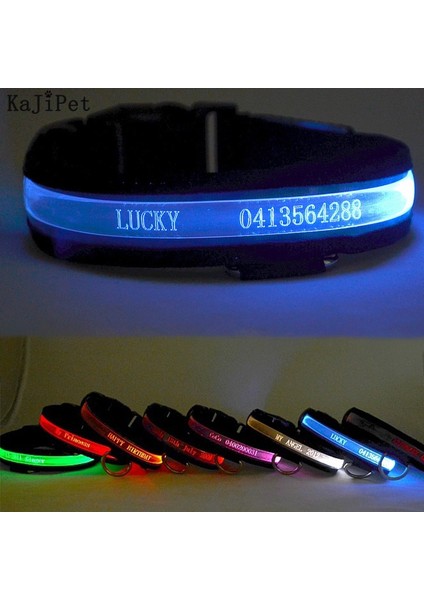 Pembe Tarzı 35-43CM Özel Yazı LED Köpek Yaka Kişiselleştirilmiş Naylon Pet Köpek Künyesi Yaka Kedi Ayarlanabilir Parlayan Köpek Tasması LED Işık Gece Güvenliği (Yurt Dışından) fiyatları