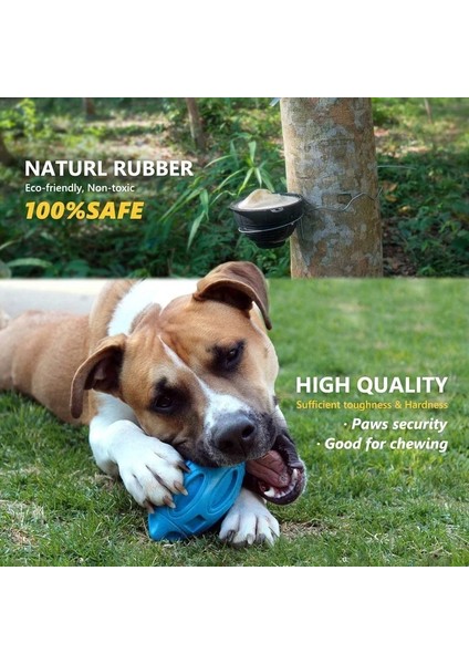 Mavi Stil Agresif Chewers Için Gıcırtılı Köpek Oyuncakları Kauçuk Köpek Çiğneme Topu Neredeyse Yok Edilemez ve Dayanıklı Pet Oyuncak Köpek Topu Oyuncak (Yurt Dışından) fırsatları