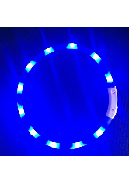 Işık Şeridi Mavi Stil 50CM LED USB Köpek Tasması Şarj Edilebilir LED Şarj Tüpü Yanıp Sönen Gece Köpek Tasmaları Parlayan Aydınlık Güvenlik Evcil Köpek Tasması. (Yurt Dışından)