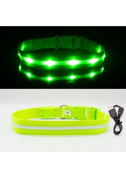 Yeşil Stil L Boyun 49-70CM Ipx7 Su Geçirmez LED Köpek Yaka Köpekler Için Noel USB Şarj Yaka Köpek Yavruları Anti-Kayıp Kurşun Pet Ürünleri Köpek Aksesuarları (Yurt Dışından)