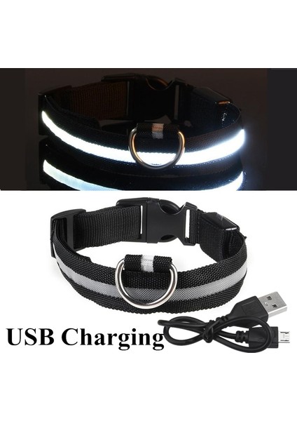 Siyah USB Stili M Beden LED Parlayan Köpek Tasması Şarj Edilebilir Su Geçirmez Aydınlık Yaka Ayarlanabilir Köpek Gece Lambası Yaka Köpekler Için Pet Güvenlik Yaka (Yurt Dışından)