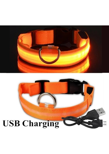 Siyah USB Stili M Beden LED Parlayan Köpek Tasması Şarj Edilebilir Su Geçirmez Aydınlık Yaka Ayarlanabilir Köpek Gece Lambası Yaka Köpekler Için Pet Güvenlik Yaka (Yurt Dışından) modelleri