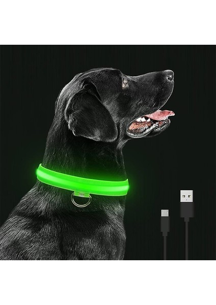 Siyah USB Stili M Beden LED Parlayan Köpek Tasması Şarj Edilebilir Su Geçirmez Aydınlık Yaka Ayarlanabilir Köpek Gece Lambası Yaka Köpekler Için Pet Güvenlik Yaka (Yurt Dışından) fırsatları