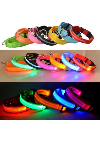 Siyah USB Stili M Beden LED Parlayan Köpek Tasması Şarj Edilebilir Su Geçirmez Aydınlık Yaka Ayarlanabilir Köpek Gece Lambası Yaka Köpekler Için Pet Güvenlik Yaka (Yurt Dışından) indirimleri