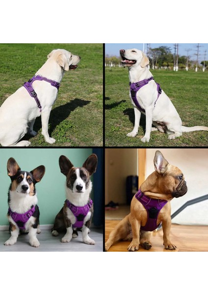 Çimen Yeşili Tarzı 33-43CM Truelove Hiçbir Çekme Köpek Koşum Ayarlanabilir Güvenlik Naylon Büyük Pet Köpek Yelek Köpekler Için Yastıklı Yansıtıcı Açık Pet Tasma Kontrolü (Yurt Dışından) modelleri