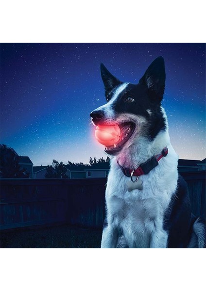 Mavi Stil M Beden Aydınlık Pet Köpek Isırığı Topu Oyuncakları Renkli Dönüşüm Köpek Topları LED Gece Parlayan Köpek Yavrusu Oyuncakları Köpek Çiğneme Topu Мяч Для Собак (Yurt Dışından) fiyatları