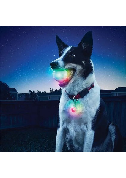 Mavi Stil M Beden Aydınlık Pet Köpek Isırığı Topu Oyuncakları Renkli Dönüşüm Köpek Topları LED Gece Parlayan Köpek Yavrusu Oyuncakları Köpek Çiğneme Topu Мяч Для Собак (Yurt Dışından) modelleri