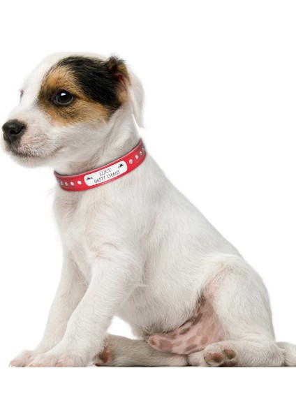 Pembe Tarzı S Beden Kişiselleştirilmiş Köpek Tasması Oyulmuş Deri Köpek Yavrusu Yaka Küçük Doguahua Teriyerleri Için Özelleştirilmiş Kedi Yaka Pembe (Yurt Dışından) modelleri