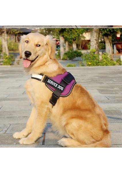 Etiket Stili ile A15 Kırmızı Xxl Ayarlanabilir Naylon Köpek Koşum Yansıtıcı Köpek Tasması Kişiselleştirilmiş Köpek Koşum ve Tasma Seti Küçük Orta Büyük Köpek Koşum Yelek (Yurt Dışından)