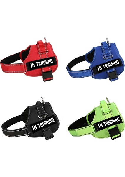 A15 Mavi Etiket Stili ile Xxl Ayarlanabilir Naylon Köpek Koşum Yansıtıcı Köpek Tasması Kişiselleştirilmiş Köpek Koşum ve Tasma Seti Küçük Orta Büyük Köpek Koşum Yelek (Yurt Dışından) indirimleri