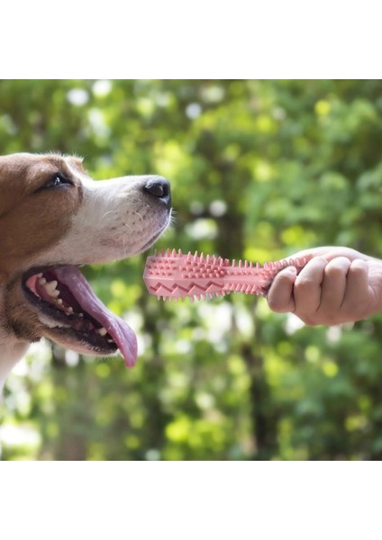 Mavi Stil Agresif Chewers Için Pet Köpek Çiğneme Oyuncaklar Dağıtım Kauçuk Büyük Irk Köpek Cızırtılı Diş Temizleme Oyuncak Pet Malzemeleri (Yurt Dışından)