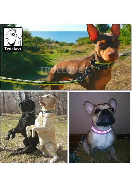 Fuşya Tarzı S 35-40CM Boyun Truelove Ayarlanabilir Köpek Tasması Naylon Örgü Yastıklı Pet Yaka Köpek Eğitimi Için Yansıtıcı Açık Rahat Köpek Kolye Pet Için (Yurt Dışından)