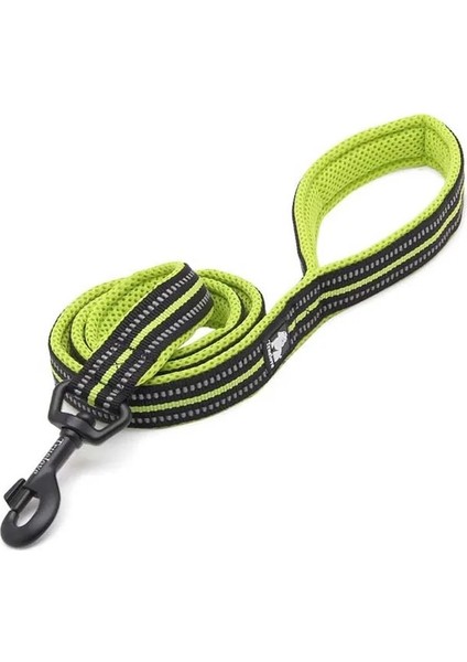 Neon Yeşili Stili Xs 1X110CM Truelove Yumuşak Yastıklı Örgü Köpek Tasma 3m Yansıtıcı Naylon Köpek Köpek Pet Leaolcm Uzunluk Yürüyüş Eğitimi Açar (Yurt Dışından)