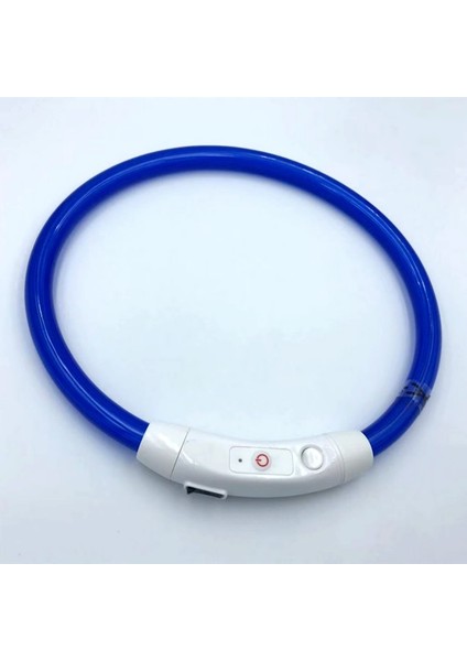 Mavi Stil 35CM Ayarlanabilir USB Şarj Pet Köpek Tasması Şarj Edilebilir LED Tüp Yanıp Sönen Gece Köpek Tasmaları Parlayan Aydınlık Güvenlik Evcil Hayvan Yaka Yxl (Yurt Dışından)