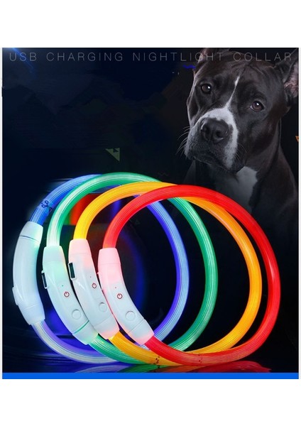 Mavi Stil 35CM Ayarlanabilir USB Şarj Pet Köpek Tasması Şarj Edilebilir LED Tüp Yanıp Sönen Gece Köpek Tasmaları Parlayan Aydınlık Güvenlik Evcil Hayvan Yaka Yxl (Yurt Dışından) fiyatları