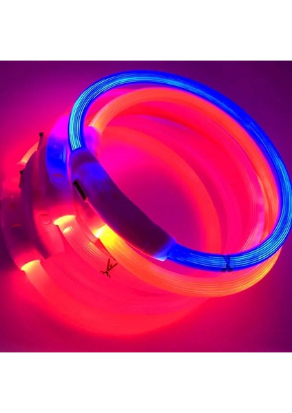 Mavi Stil 35CM Ayarlanabilir USB Şarj Pet Köpek Tasması Şarj Edilebilir LED Tüp Yanıp Sönen Gece Köpek Tasmaları Parlayan Aydınlık Güvenlik Evcil Hayvan Yaka Yxl (Yurt Dışından) modelleri