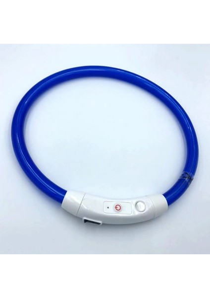 Mavi Stil 35CM Ayarlanabilir USB Şarj Pet Köpek Tasması Şarj Edilebilir LED Tüp Yanıp Sönen Gece Köpek Tasmaları Parlayan Aydınlık Güvenlik Evcil Hayvan Yaka Yxl (Yurt Dışından) indirimleri