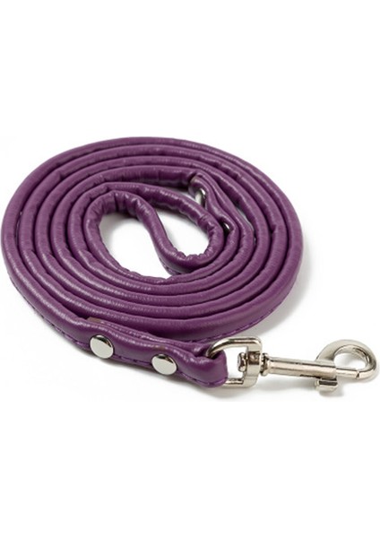Mor Tarzı 120X1.0CM Köpek Tasmaları Kurşun Moda Pu Deri Halat Tasma Küçük Köpekler Için Kedi Yaka Tasma Açık Yürüyüş Için (Yurt Dışından)