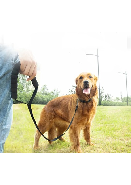 Mavi Stil 20 Milyon Köpek Lanyar Açık Eğitim Yürüyüşü Için Uzun Naylon Tasma Pamuk Saplı 2.5cm Genişlik Uzun Kurşun (Yurt Dışından) indirimleri