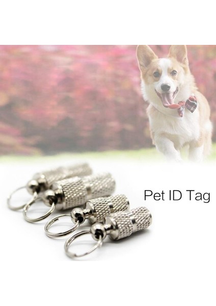 Küçük Stil 1 Bilgisayar Köpek Oyuncakları Pet Kedi Köpek Kımlık Etiketi Köpekler Kediler Anti Kayıp Isim Adres Etiketi Kimlik Tüp Yaka Evcil Hayvan Ürünleri Köpek Aksesuarları (Yurt Dışından) modelleri