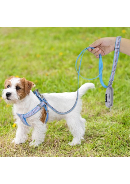 Mavi Stil M Beden Sevimli Köpek Koşum Ayarlanabilir Naylon Pet Köpek Chihuahua Koşum Yelek Köpek Tasma Seti Pembe Küçük Orta Köpekler Için Kediler Pet Ürünleri (Yurt Dışından) modelleri