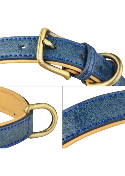 Mavi Stil M29-38CM Deri Köpek Tasması Ayarlanabilir Çift D-Ring Köpek Kontrolü Küçük Orta Büyük Köpekler (Yurt Dışından) fırsatları