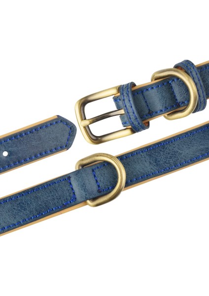 Mavi Stil M29-38CM Deri Köpek Tasması Ayarlanabilir Çift D-Ring Köpek Kontrolü Küçük Orta Büyük Köpekler (Yurt Dışından) indirimleri