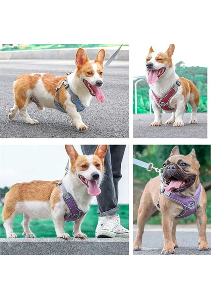 Gri Tarzı M Beden Evcil Köpekler Aksesuarları Köpekler Için Aydınlık Ayarlanabilir Koşum Yavru Yelek Yaka Tasma Fransız Bulldog Köpek Aksesuarları (Yurt Dışından) modelleri