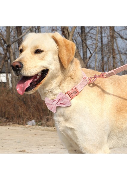 Pembe Set Stili L Beden Özelleştirilmiş Köpek Yaka Tasma Seti Papyon Ayarlanabilir Köpek Tasmaları ile Yüksek Li Kişiselleştirilmiş Pet Tasmalar Tasma Ücretsiz Gravür (Yurt Dışından)