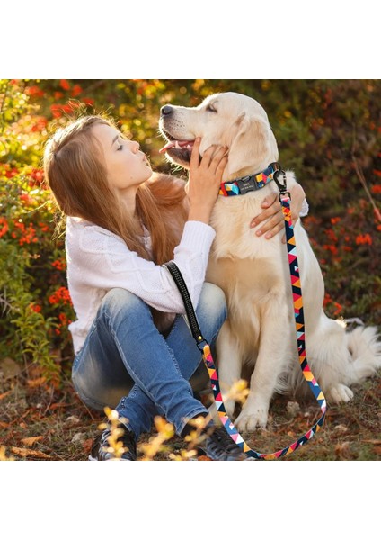 Mavi Stil S Beden Naylon Köpek Tasması Tasma Seti Yumuşak Kişiselleştirilmiş Köpek Tasmaları Kurşun Küçük Orta Büyük Köpekler Için Emniyet Tokası ile Yastıklı Pet Pitbull (Yurt Dışından) indirimleri