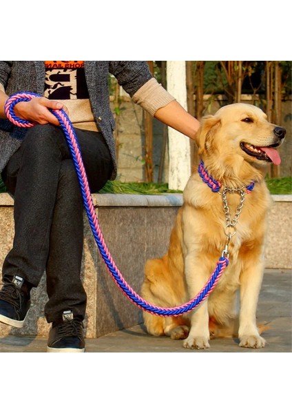 Pembe Tarzı S Beden 1.2m Uzunluk Çift Telli Halat Büyük Köpek Tasmalar Metal P Zincir Toka Ulusal Renk Pet Çekiş Halat Yaka Büyük Köpekler Için Set (Yurt Dışından)