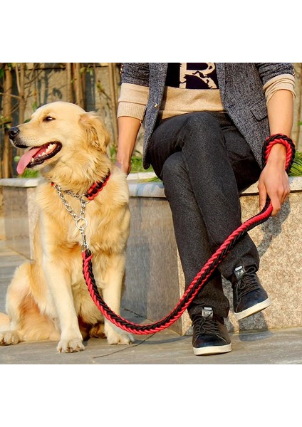 Pembe Tarzı S Beden 1.2m Uzunluk Çift Telli Halat Büyük Köpek Tasmalar Metal P Zincir Toka Ulusal Renk Pet Çekiş Halat Yaka Büyük Köpekler Için Set (Yurt Dışından)