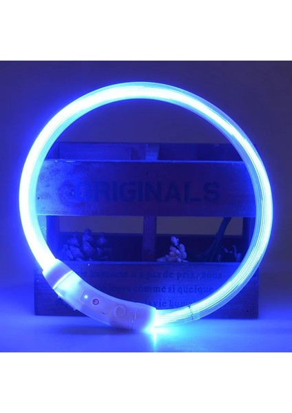 Mavi Stil S Beden Rojeco LED USB Köpek Tasması Şarj Edilebilir LED Gece Güvenliği Pet Köpek Tasmaları Tüp Yanıp Sönen Glow Parlayan Aydınlık Gece Köpek Tasma Kurşun (Yurt Dışından)