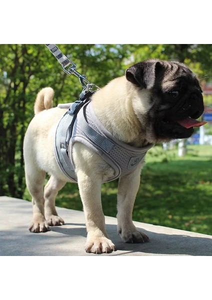 Kraliyet Tarzı Xl Beden Pet Köpek Yansıtıcı Naylon Örgü Koşum ve Küçük Orta Köpekler Için Tasma Yaka Seti Kedi Chihuahua Pug Yürüyüş Kurşun Tasma (Yurt Dışından) modelleri