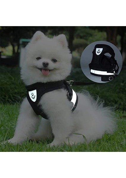 Kraliyet Tarzı Xl Beden Pet Köpek Yansıtıcı Naylon Örgü Koşum ve Küçük Orta Köpekler Için Tasma Yaka Seti Kedi Chihuahua Pug Yürüyüş Kurşun Tasma (Yurt Dışından) fırsatları