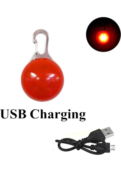 Kırmızı USB Stili S Beden USB Şarj Edilebilir Pet Köpek LED Parlayan Kolye LED Flaş Işıkları Pet Yolları Aksesuarlar Karanlıkta Parlıyor Parlak Kolye Köpek Tasması (Yurt Dışından)