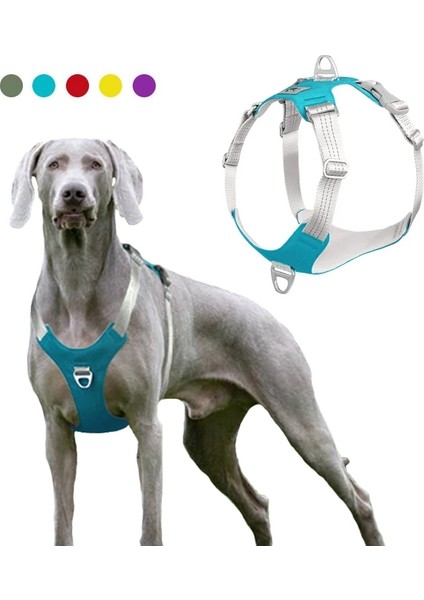 Yeşil Stil Xxl Pet Köpek Koşum Yelek Hiçbir Çekme Yansıtıcı Köpek Eğitim Koşum Yaka Orta Büyük Köpekler Için Büyük Irk Husky Labrador Evcil Hayvan Malzemeleri (Yurt Dışından) fiyatları