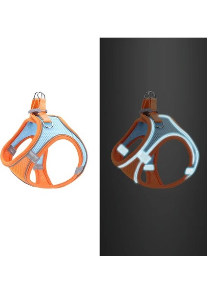 Turuncu Koşum Stili Xxxs Turuncu Pet Tasma Kedi Yelek Kırmızı Köpek Göğüs Koşum Ayarlanabilir Naylon Nefes Yansıtıcı Açık Yürüyüş Köpek Göğüs Kemeri Yavru Kedi (Yurt Dışından) indirimleri