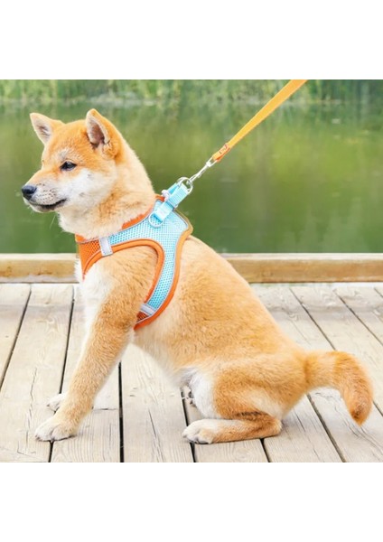 Turuncu Tasma Stili M Beden Turuncu Pet Tasma Kedi Yelek Kırmızı Köpek Göğüs Koşum Ayarlanabilir Naylon Nefes Yansıtıcı Açık Yürüyüş Köpek Göğüs Kemeri Yavru Kedi (Yurt Dışından) fırsatları