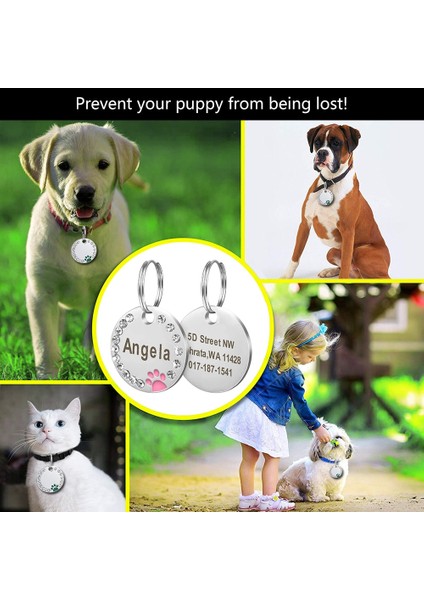 Mor Tarzı Köpek Künyesi Kişiselleştirilmiş Pet Köpek Kedi Kımlığı Etiketi Kazınmış Özel Köpek Tasması Aksesuarları Köpekler Kediler Için Özelleştirilmiş Adres Adı Etiketi (Yurt Dışından) fırsatları