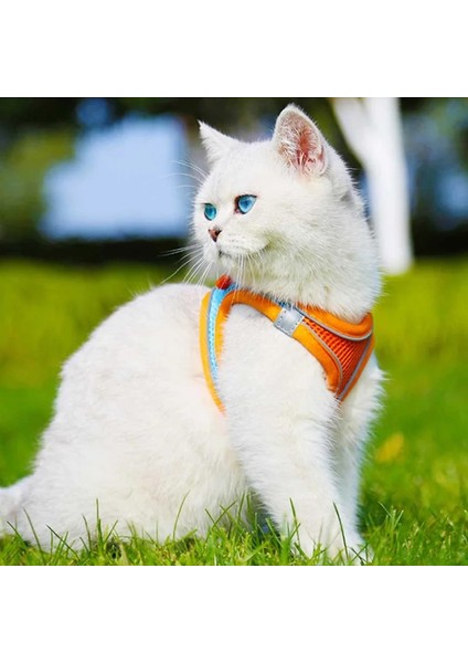 Kırmızı Kombinasyon Stili S Beden Turuncu Pet Tasma Kedi Yelek Kırmızı Köpek Göğüs Koşum Ayarlanabilir Naylon Nefes Yansıtıcı Açık Yürüyüş Köpek Göğüs Kemeri Yavru Kedi (Yurt Dışından) modelleri