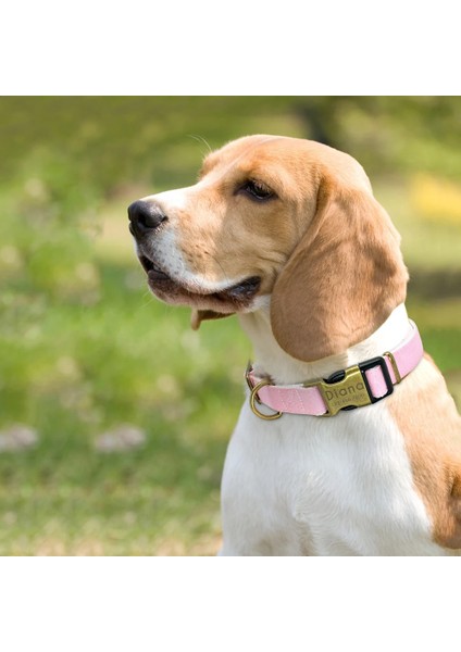 Gri Stil L Beden Kişiselleştirilmiş Köpek Tasması Naylon Küçük Büyük Köpekler Köpek Tasması Küçük Orta Büyük Pet Pitbull Chihuahua Pembe Için Isim Kimliği Oyma (Yurt Dışından) indirimleri