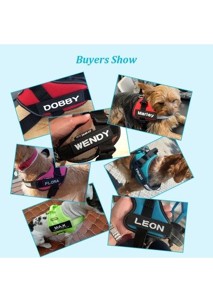 Isim Stili M 5X16CM U Kişiselleştirilmiş Köpek Künyesi Köpek Adı Özel K9 Köpek Koşum Yaka Etiketi Etiket Özel Köpek Künyesi Pet Köpek Koşum Adı Etiketi (Yurt Dışından) fiyatları