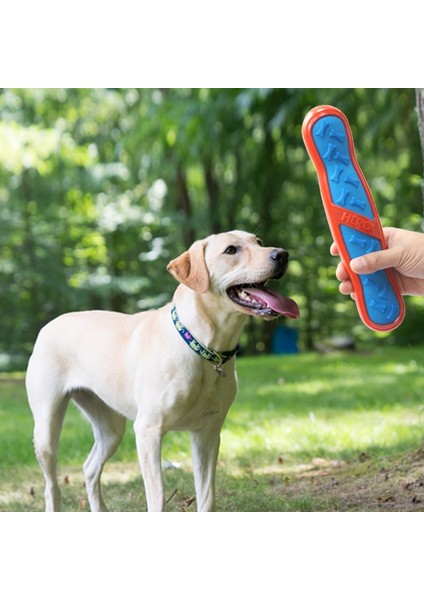 Mavi Stil Beden Rengini Seçin Caıtec Köpek Oyuncakları Gıcırdayan Çubuk ve Kemik Yüzer Yaylı Fırlatmaya ve Kovalamaya Uygun Yumuşak (Yurt Dışından) modelleri
