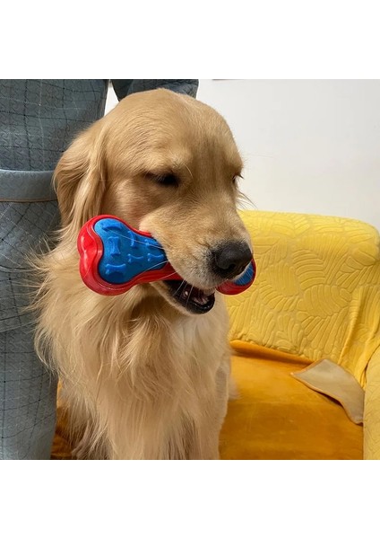 Mavi Stil Beden Rengini Seçin Caıtec Köpek Oyuncakları Gıcırdayan Çubuk ve Kemik Yüzer Yaylı Fırlatmaya ve Kovalamaya Uygun Yumuşak (Yurt Dışından) fırsatları