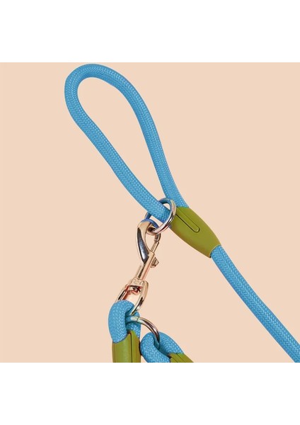 Mavi Stil Köpek Koşum Tasması Tasmaları Köpekler Için Talepler Askılı Omuz Eller Serbest Tasmalar Köpek Zinciri Çift Kafalı Tasma Köpekleri Yürüteç (Yurt Dışından) fırsatları