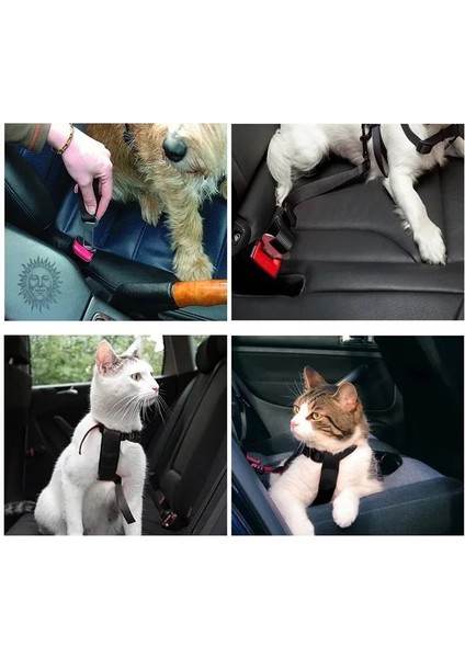 Açık Tasma Turuncu Tarzı Köpek Kedi Araba Emniyet Kemeri Ayarlanabilir Tasma Araç Emniyet Kemeri Pet Malzemeleri Koşum Güvenli Kolu Çekiş Yaka Köpek Tasma (Yurt Dışından) fırsatları