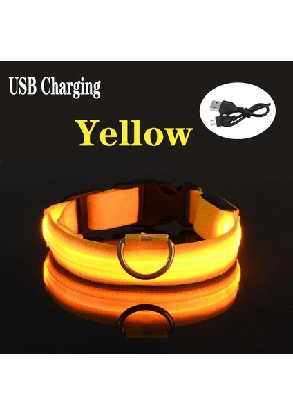 09-Usb Stili 52-60CM Pet USB Şarj Edilebilir LED Köpek Yaka Gece Güvenliği Yanıp Sönen Pet Malzemeleri Köpek Aksesuarları Için Köpek LED Yaka (Yurt Dışından)